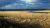 sunlit-grass-russia